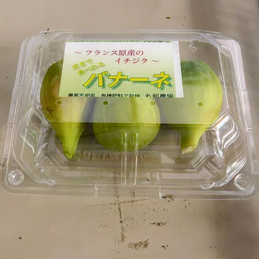 バナーネ